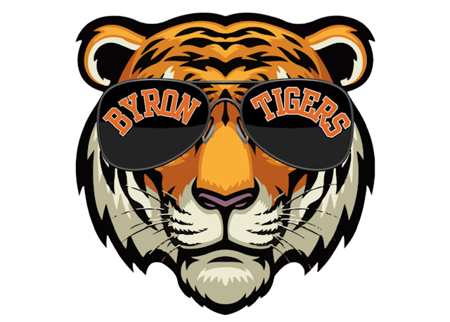 TIG (TIGERS IN GLASSES) ADULT HOODIES COLLECTION - 4 DIFFERENT DESIGNS