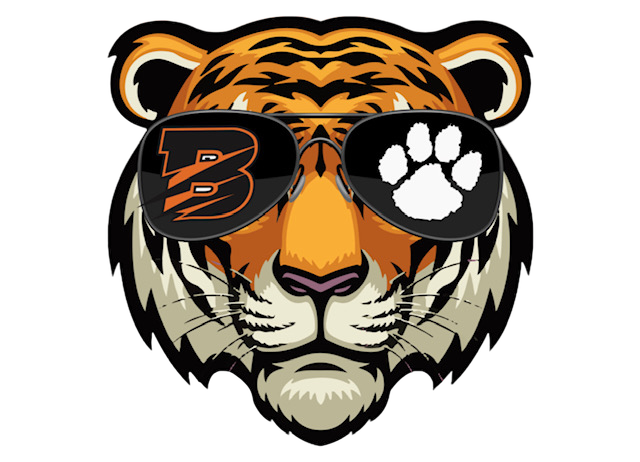 TIG (TIGERS IN GLASSES) ADULT HOODIES COLLECTION - 4 DIFFERENT DESIGNS