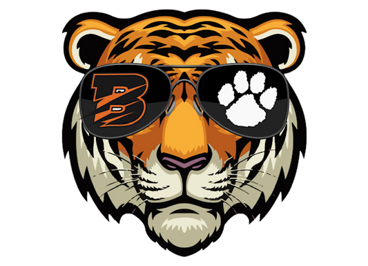 TIG (TIGERS IN GLASSES) ADULT HOODIES COLLECTION - 4 DIFFERENT DESIGNS